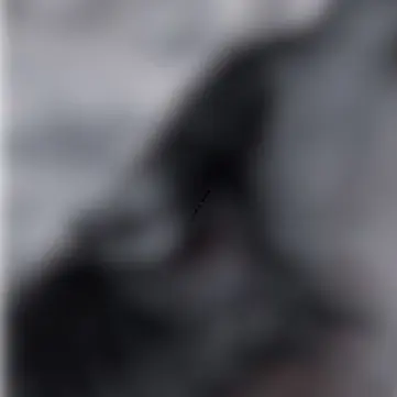 Profile image of ホクト