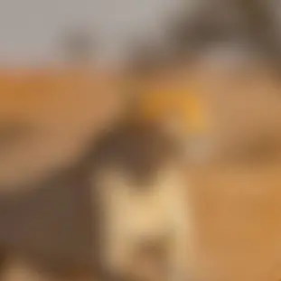 Profile image of ジェシー