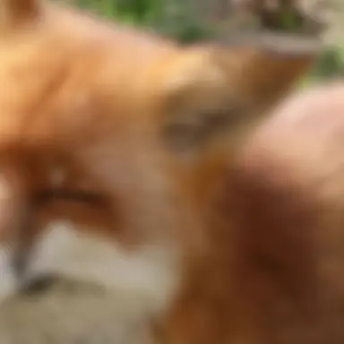 Profile image of ジュリ