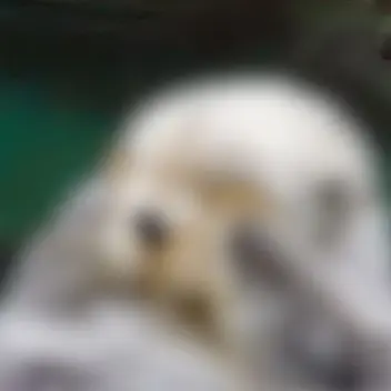 Profile image of ユウゴ