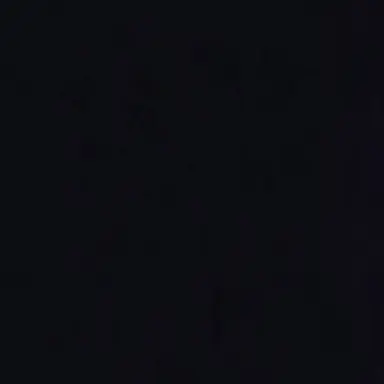 Profile image of 이리오