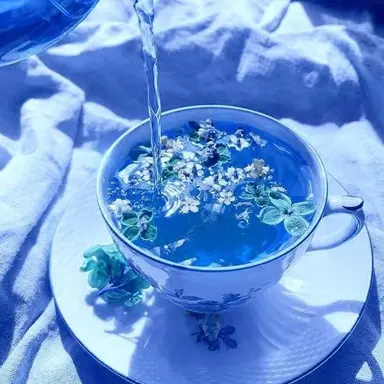 Profile image of 塩﨑 太智