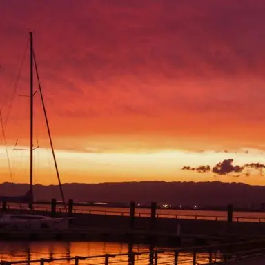 Profile image of 向井 康二