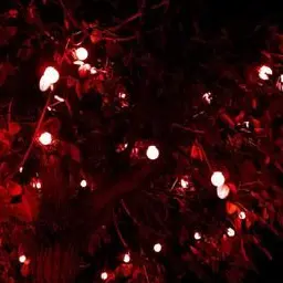 Profile image of 大森 元貴