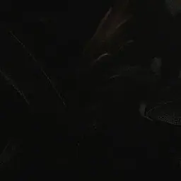 Profile image of 황 현진