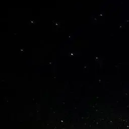 Profile image of 이 민호