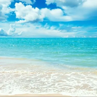 Profile image of 서준