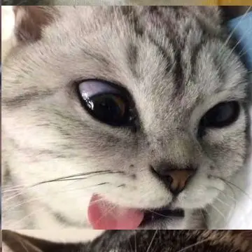 Profile image of Plinkly