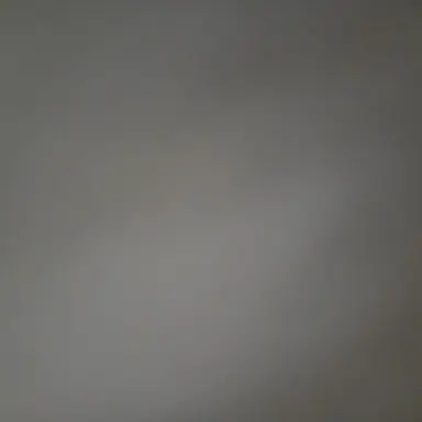 Profile image of 아름