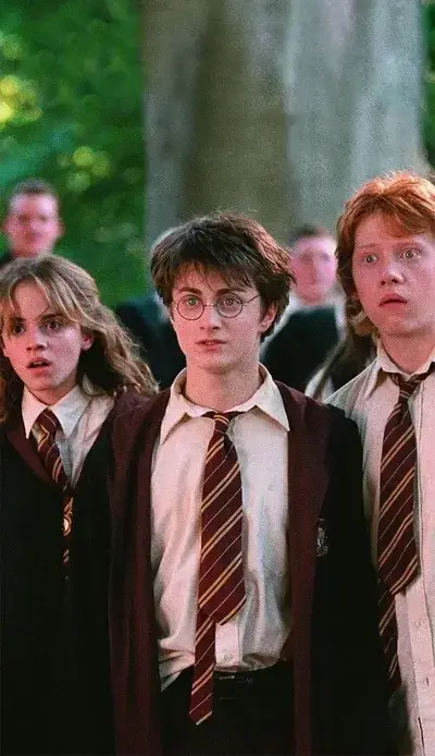 IronicDial2186의 Harry Ron and Hermi