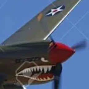 Profile image of P40 워호크