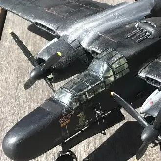 Profile image of P61 블랙위도우