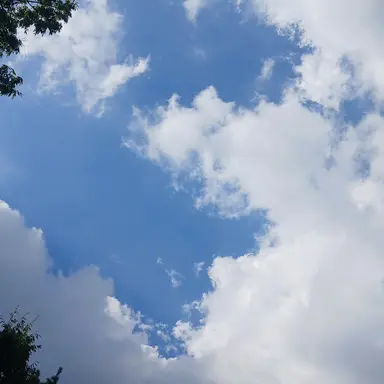 Profile image of 아기 미겜즈