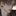 박준성