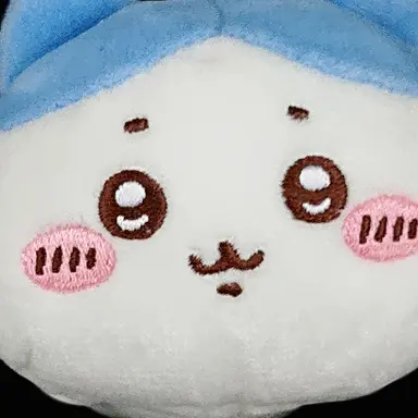 Profile image of ハチワレ