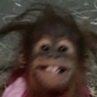 Profile image of 미유