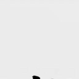 한유진