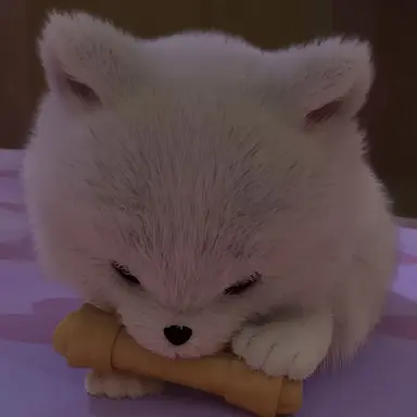 Profile image of 몽실이