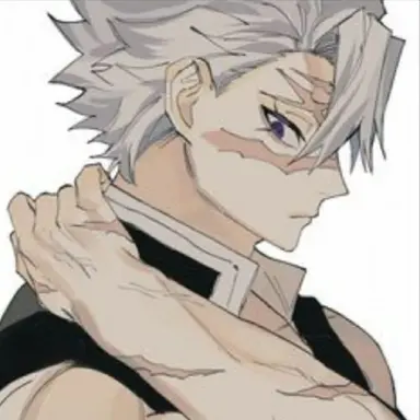 Profile image of 시나즈가와 사네미