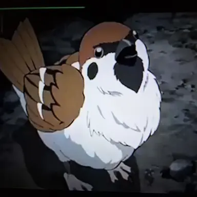 Profile image of 짹타로