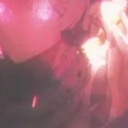 Profile image of 初兎