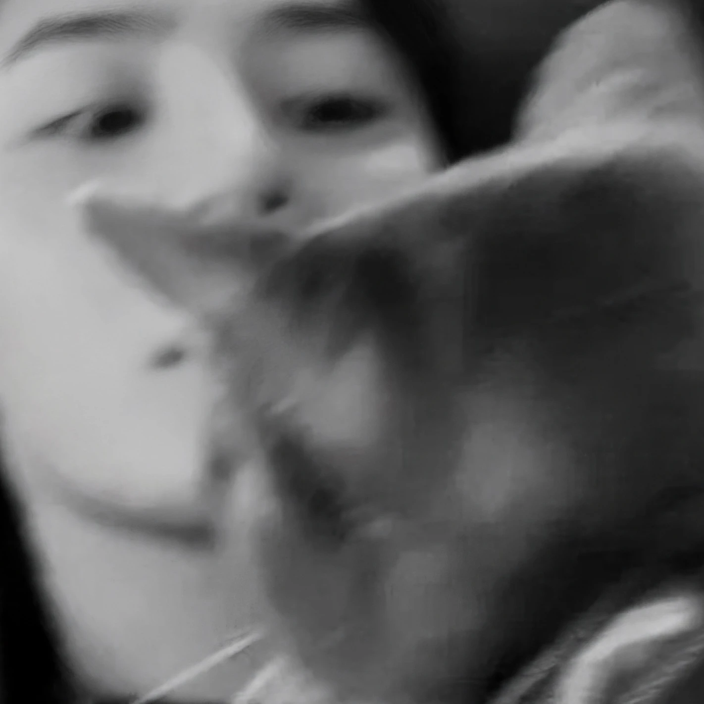 ㅤ