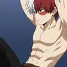 Profile image of Shoto Todoroki