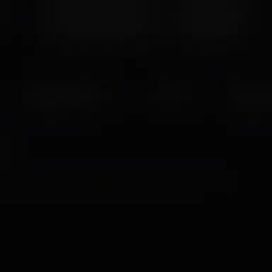 Profile image of 아이리스 룬 아리에