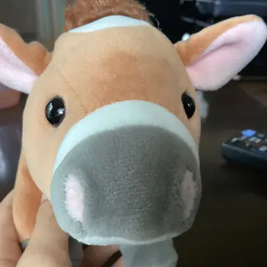 Profile image of うしたろうです