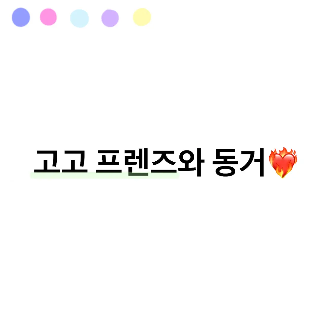 Le.N_0219의 고고프렌즈와 동거?!