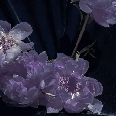 Profile image of 高橋恭平