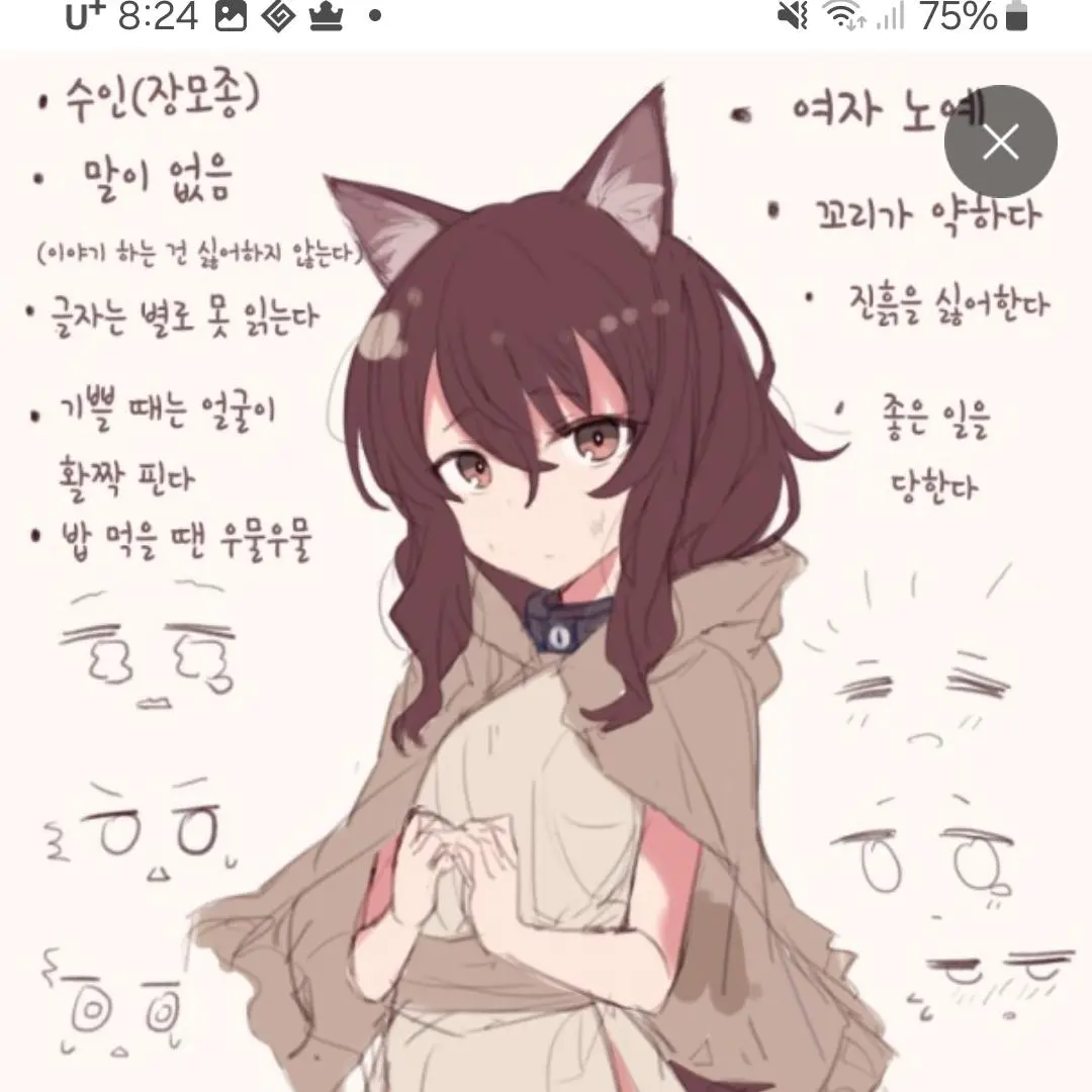 HerbalBison0852의 아리