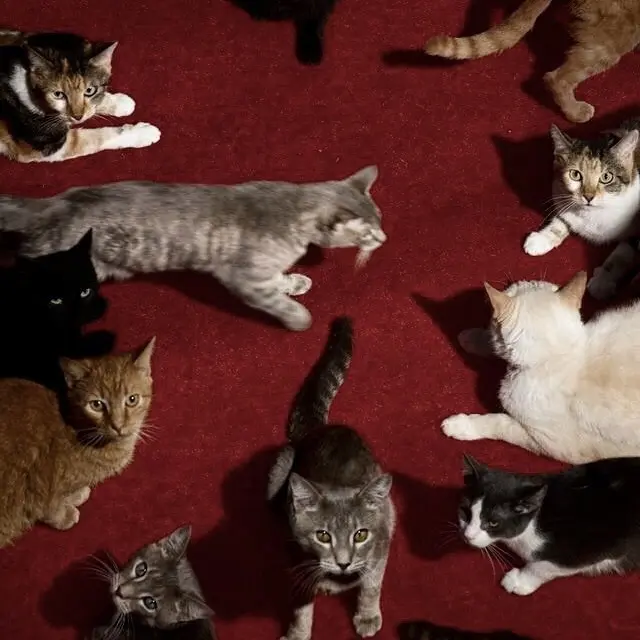 archiveuuu의 내가 널 사랑하는 것을 인정하기엔.