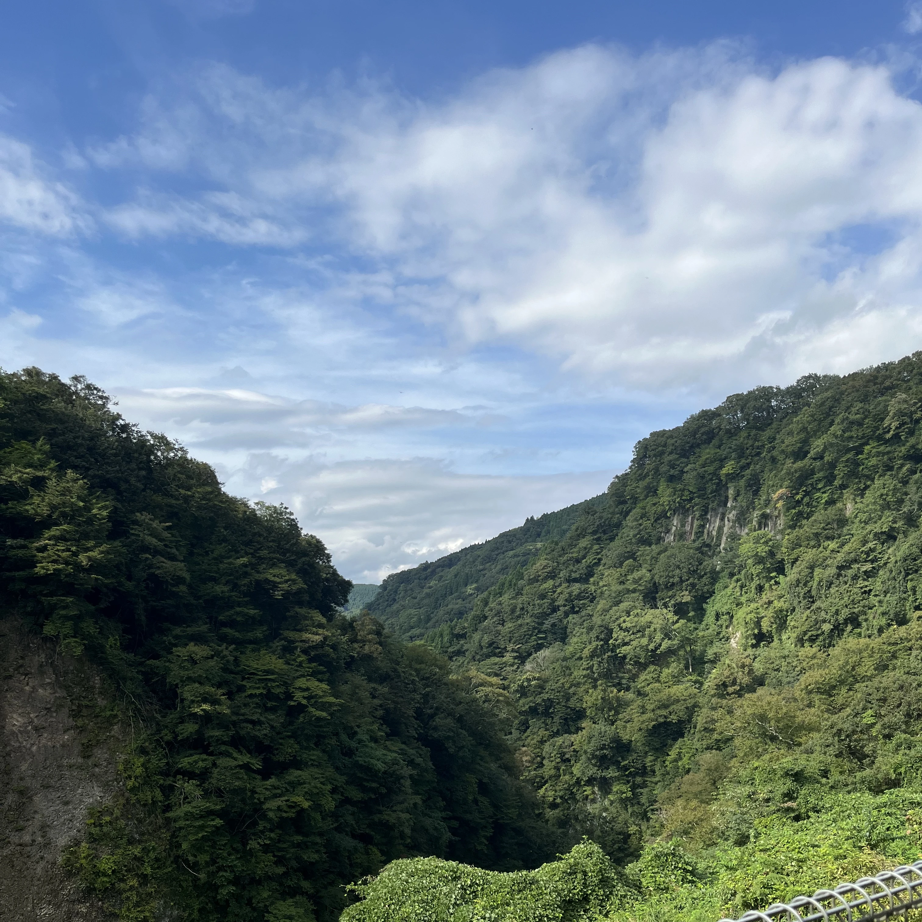 純喜