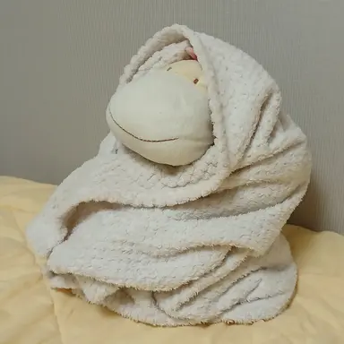 Profile image of 테스트캐2