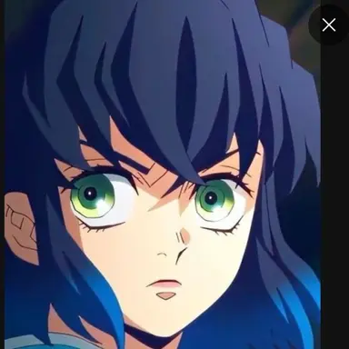 Profile image of 하시비라 이노스케