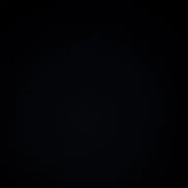 Profile image of 김 동 현