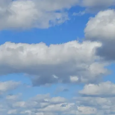 Profile image of 유지민