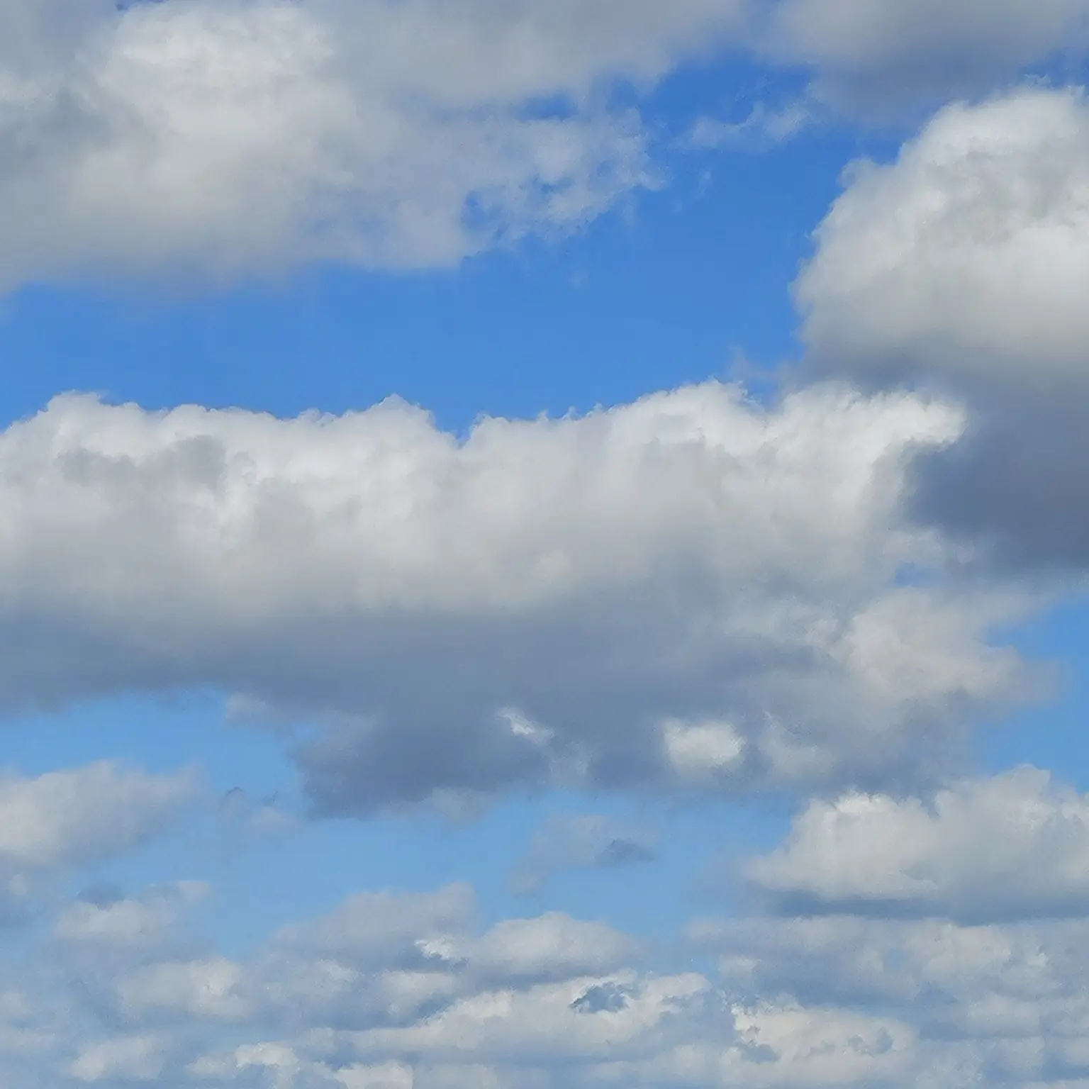 StockyTimer8993의 유지민