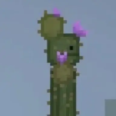 Profile image of 선인장