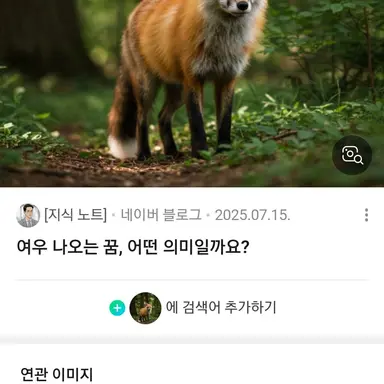 Profile image of 여우