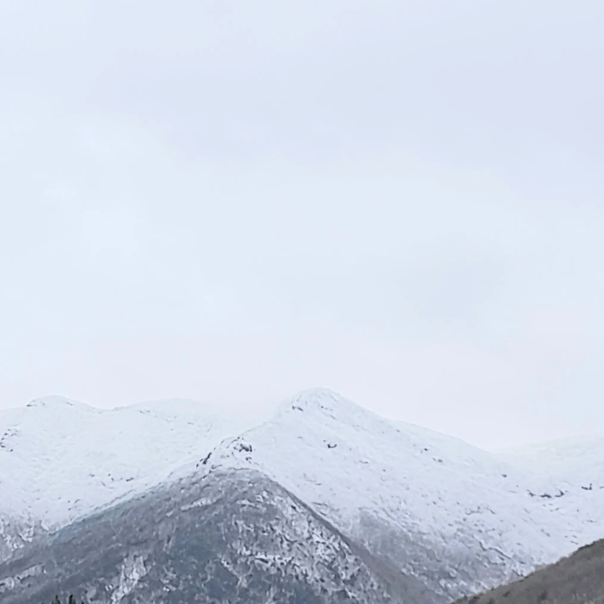 ScenicCar9936의 장원녕