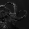Profile image of O