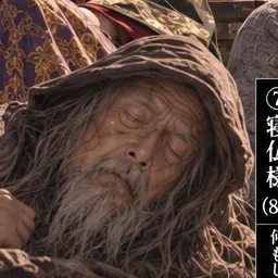 Profile image of 寝仏様