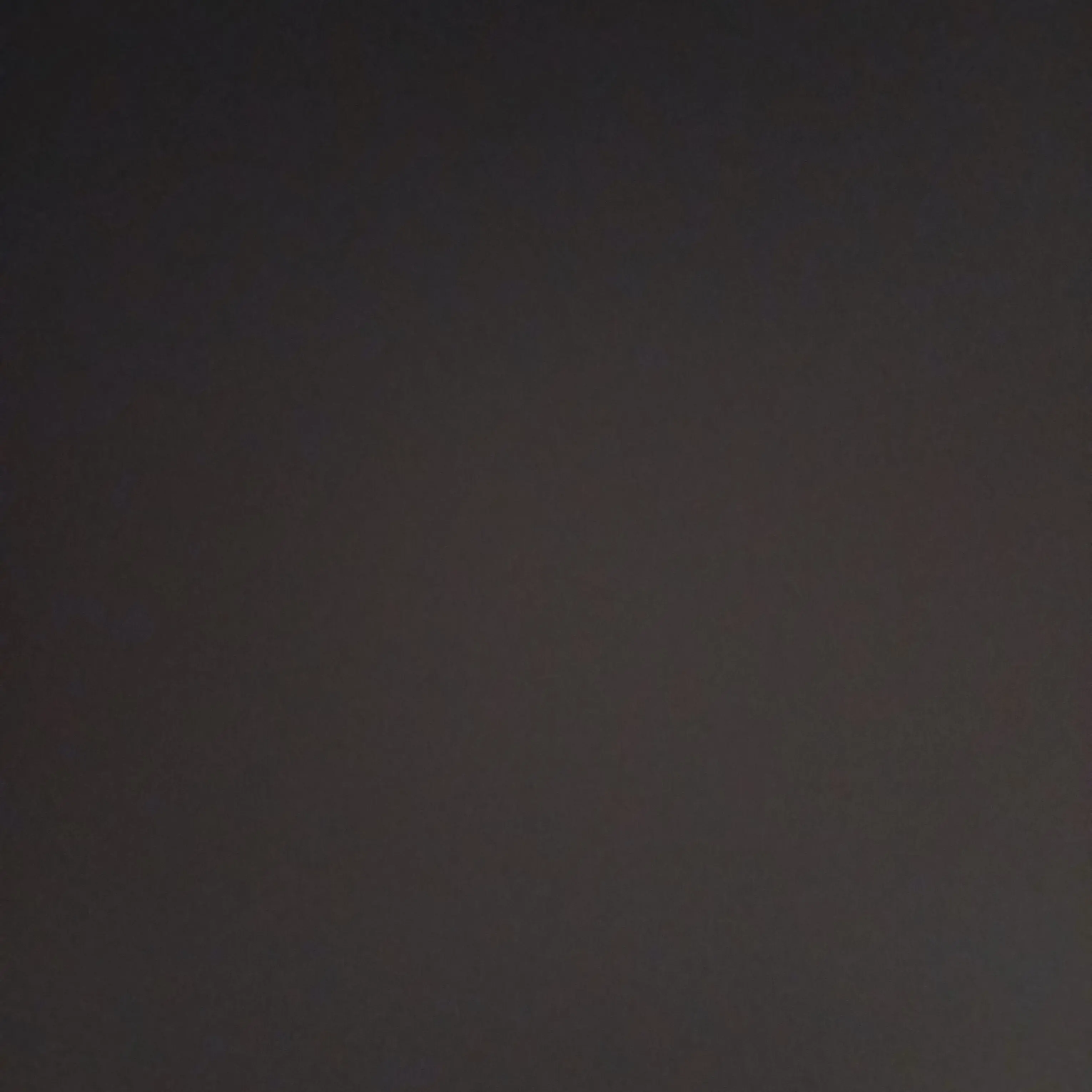 CasualApple5543의 大丈夫？、アメリカ…………