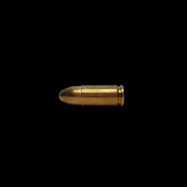 Profile image of 게스트1337