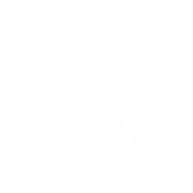 Profile image of seaCH