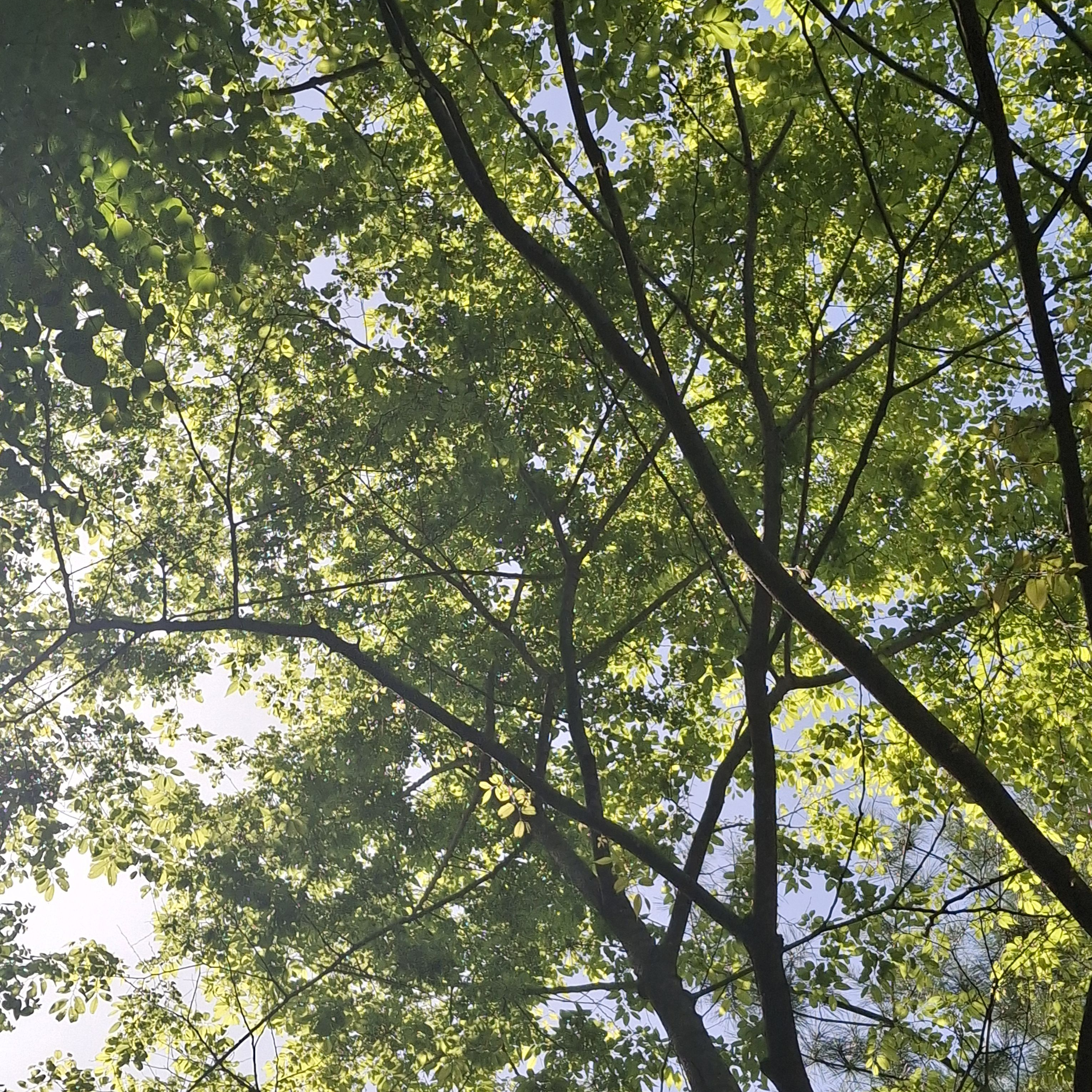 라이벌-1 대표 이미지