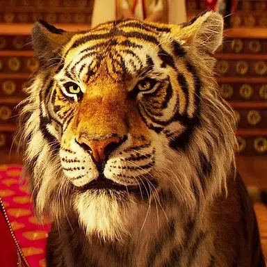 Profile image of 라자