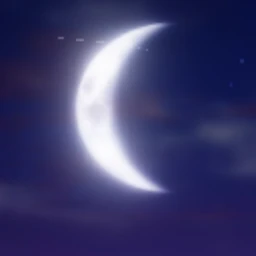해설